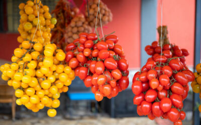 Alla scoperta dei pomodori di Sorrento