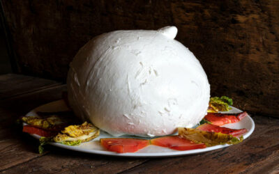 L’ oro bianco: la mozzarella di bufala